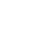 Vector Icon